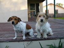 Hector and Lysander