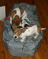 Can we come too?