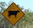 Roadsign